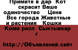 Примите в дар. Кот скрасит Ваше одиночество. › Цена ­ 0 - Все города Животные и растения » Кошки   . Коми респ.,Сыктывкар г.